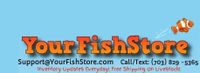 Your Fish Store coupons